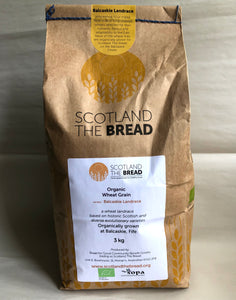 Organic wheat GRAINS for milling (Balcaskie Landrance) 3Kg